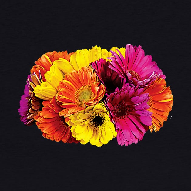 Daisies - Gerbera Daisies Mixed Colors by SusanSavad